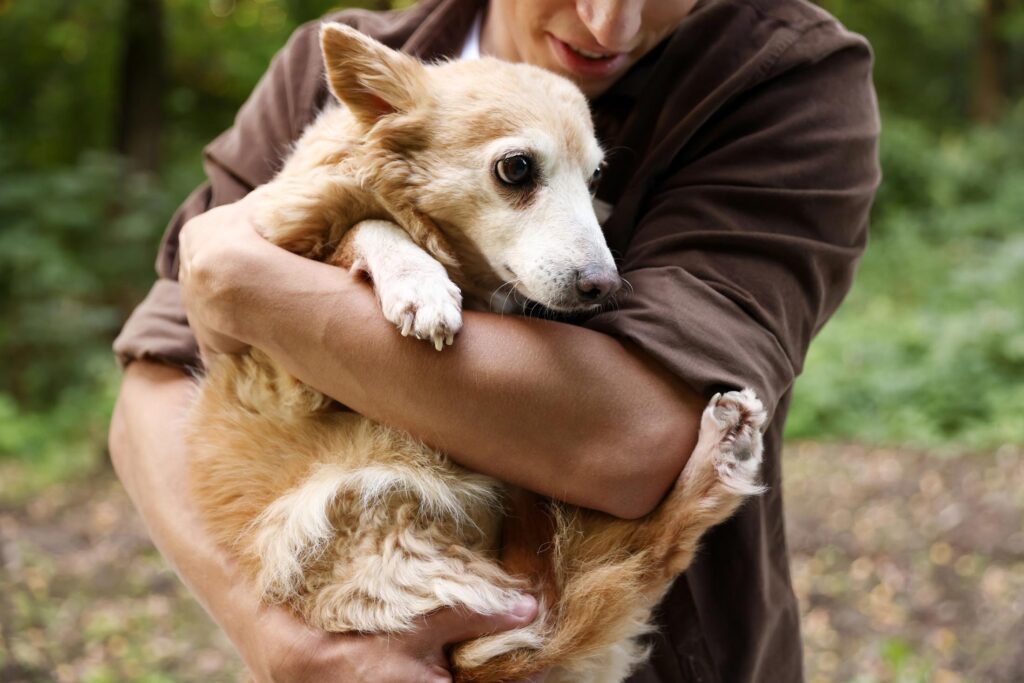 A person holding a small, tan and white dog in their arms outdoors, with the dog—recently part of a dog rescue in Atlanta—appearing slightly anxious.