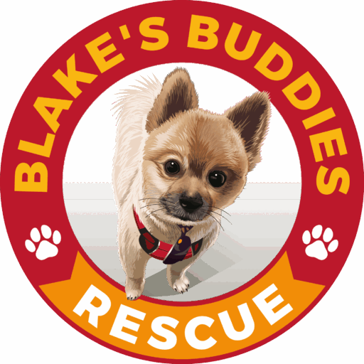 A small dog wearing a red harness is centered inside a red and yellow circular logo reading "Blake's Buddies Rescue," highlighting this caring dog rescue with paw prints on each side.